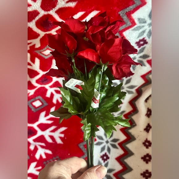 1 poinsettias red plant Christmas - Picture 11 of 13